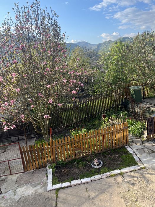 Vand doua case Petrila sau schimb