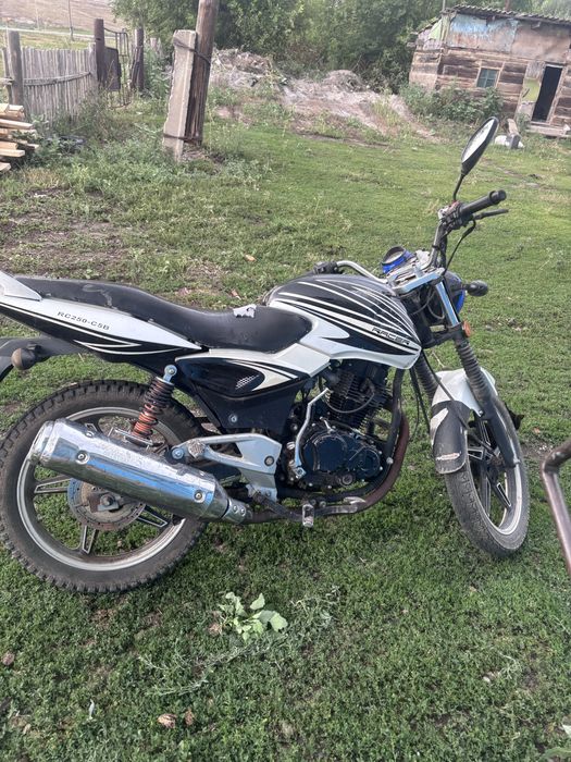 Продам рейсер магнум 250