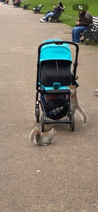 Carucior cybex easy twist II