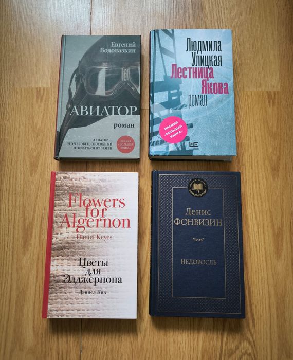 Художественная литература