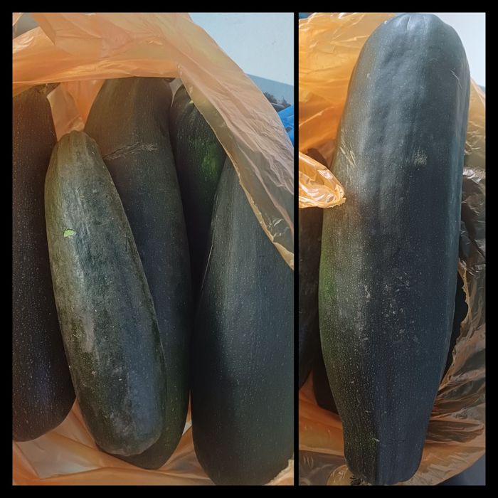 Продам кабачки 6 штук