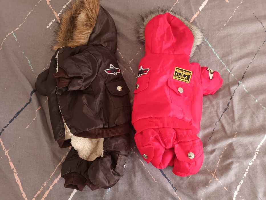 2 geci pentru căței/pisici