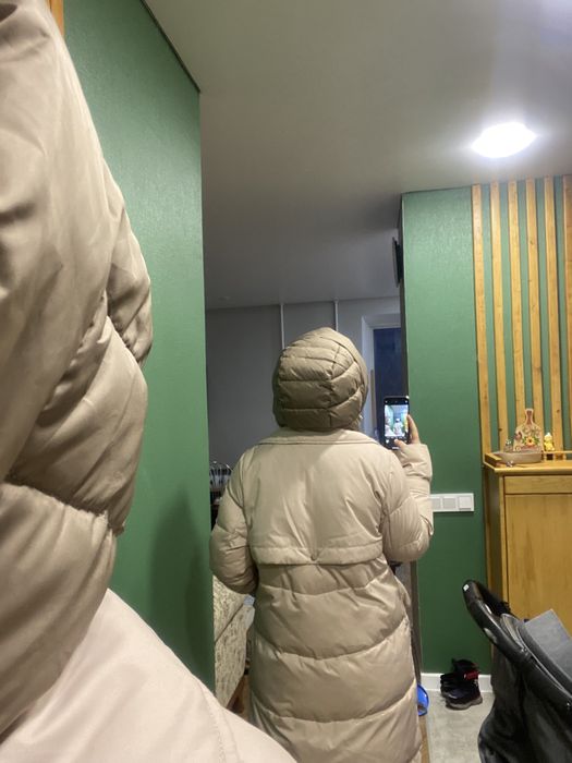 Зимний пуховик