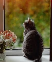 Москитные сетки из первых рук! Установка бесплатно! ф/о любая!