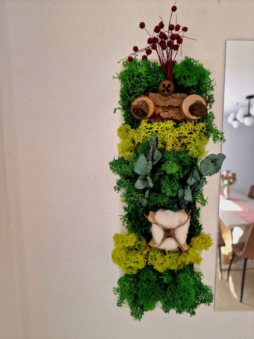 Vand tablori licheni pe comanda