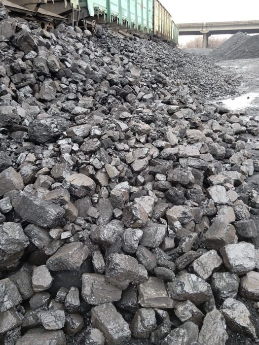 Уголь Шубаркуль, Кузнецкий