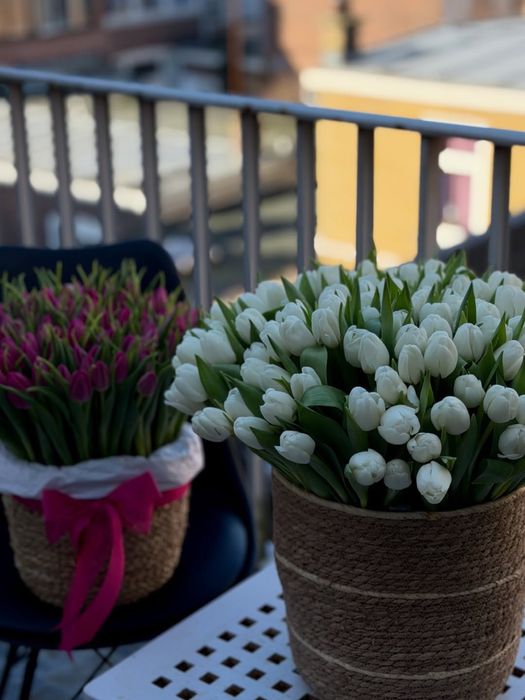 Тюльпаны в кашпо