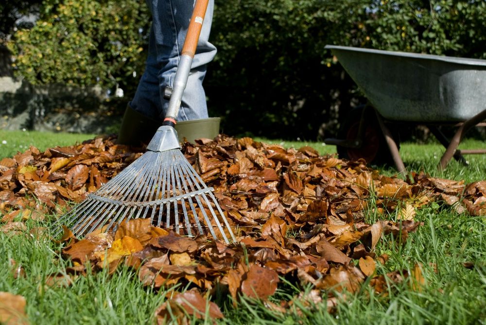 Убираем территорию вскапаем садовые работы и тд