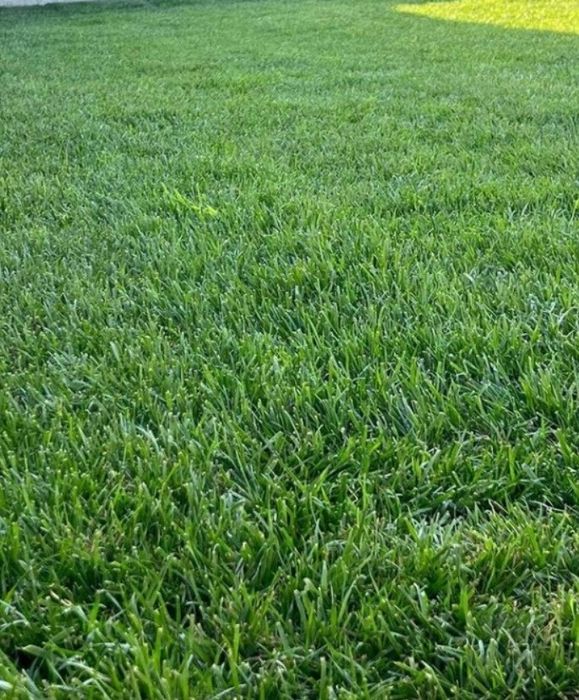 Gazon rulouri sisteme de irigatii