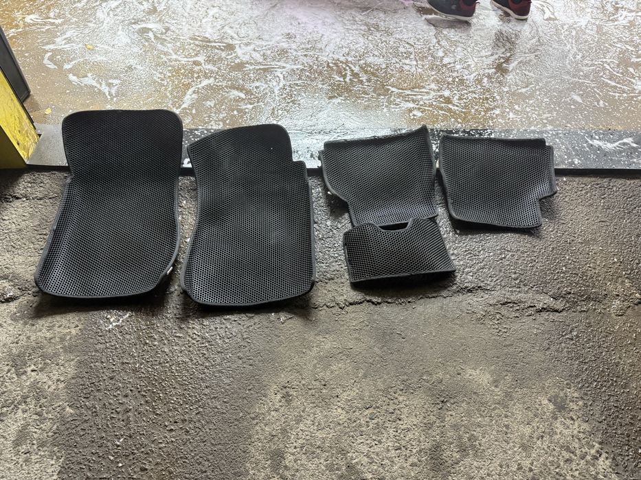 Ева полики Cobalt