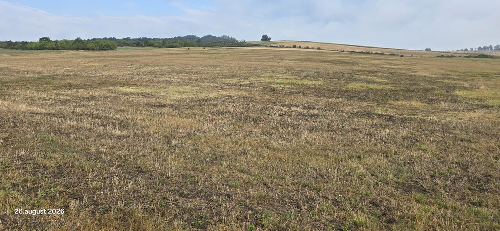 Teren extravilan 4,7 ha