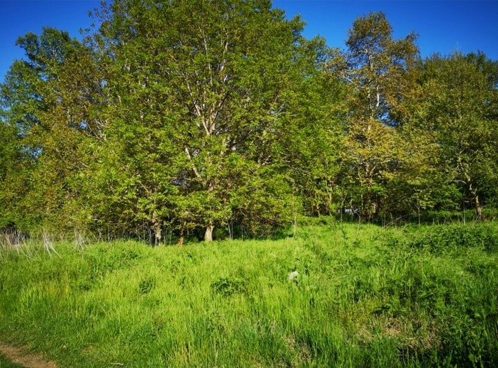 Продава се Парцел в с. Лешница, Област Благоевград - 677 кв.м за 87 €/кв.м - Снимка #6