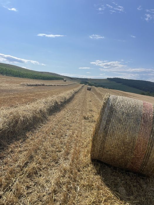 Baloti de paie de vannzare