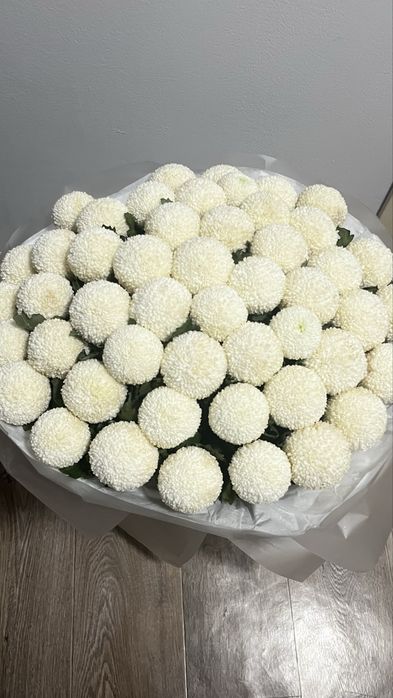 Рафаэлки 51шт.