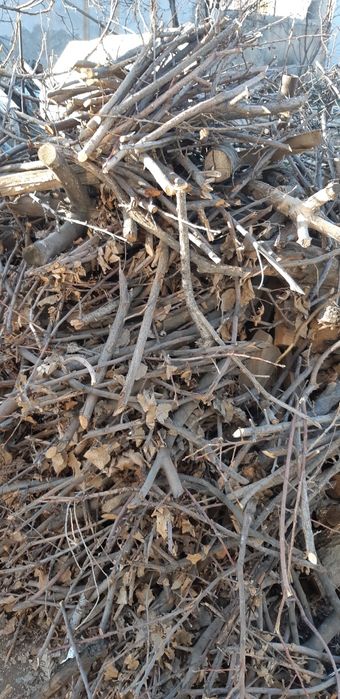 Отын. Дрова. Кепкен. Сухие