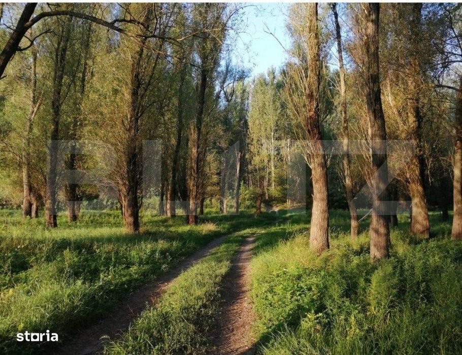 Teren, 120000mp, Insula Calinovat, Moldova Noua