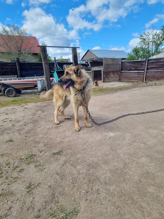 Продам кабеля на охрану