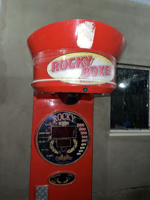 Rokky boxer рокки боксер