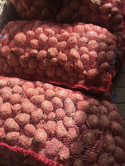 Vand cartofi samanta ..