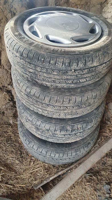 14 balon kalpak diskasi bilan