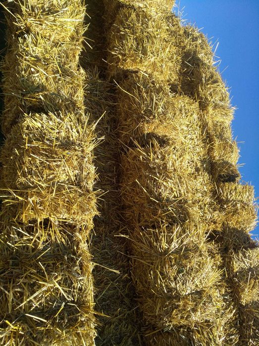 Baloții din paie de grâu