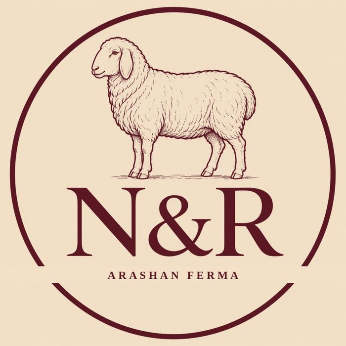 Logotip Dizayn hizmati, Arzon va Tez