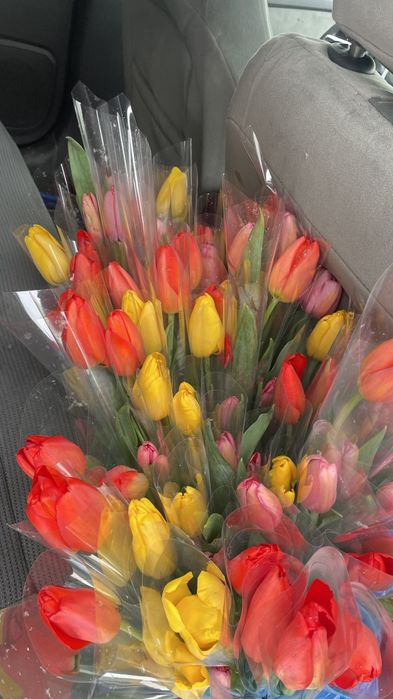 Тюльпаны ! 8 марта !
