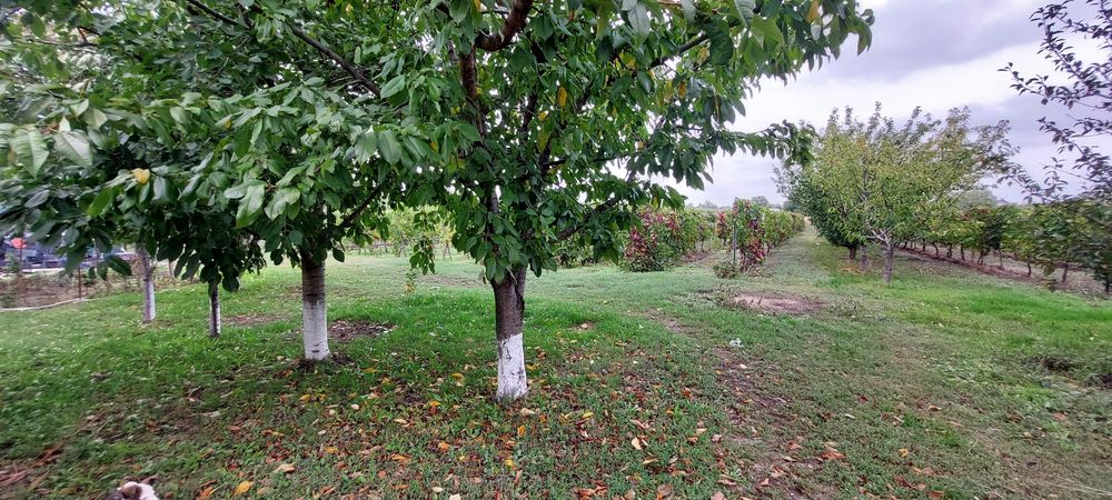 Vand casa 294 mp, cu posibilitatea achitari și în doua tranșe