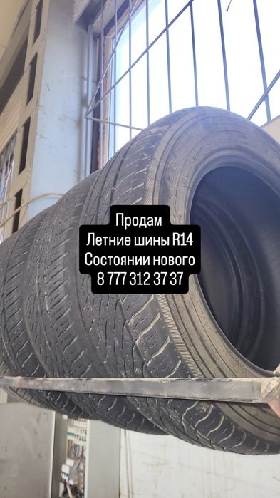Продам шины R14.   Почти новые