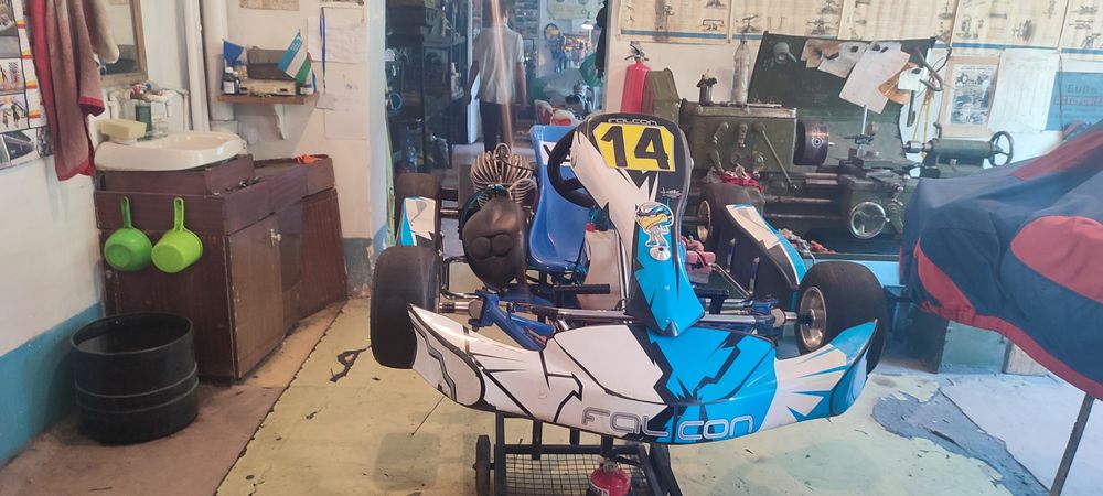 Картинг профессиональный