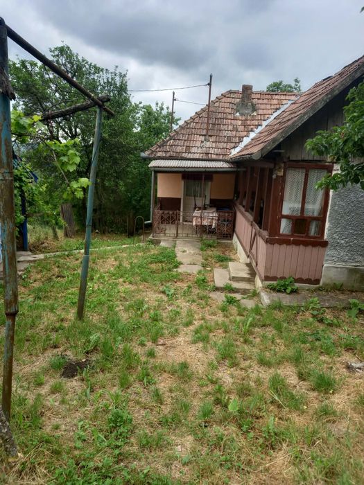 Vand casa in satul Feldiora