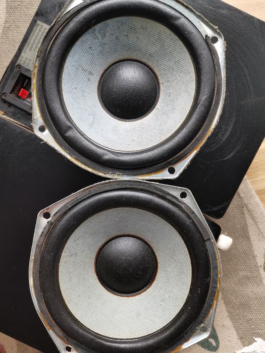 Difuzoare Sony cu magnet dublu de 16.5