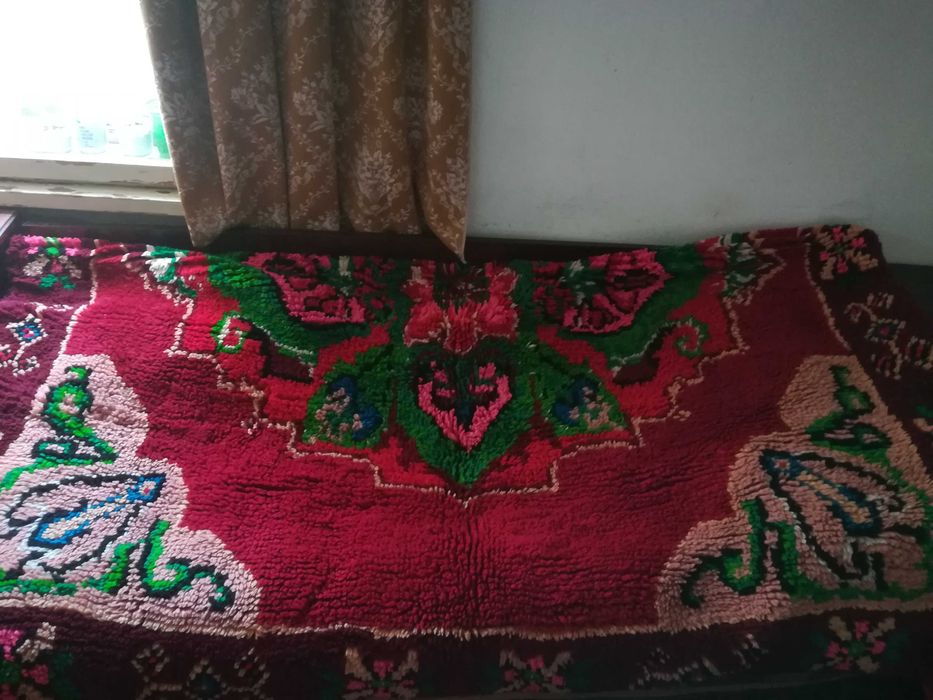 Китеник - губер халище