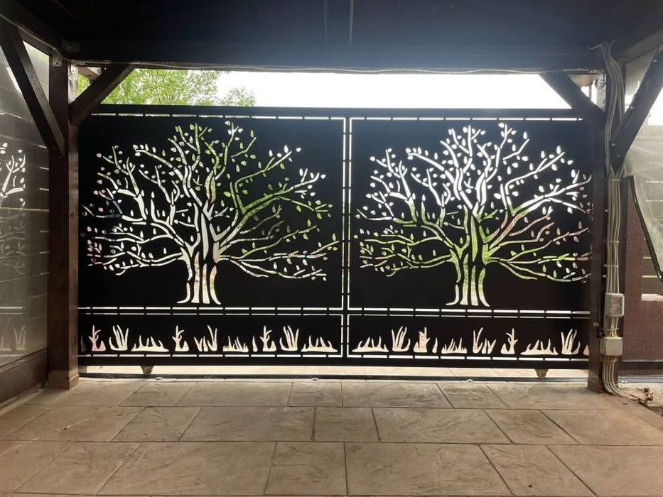 Poarta debitată la laser