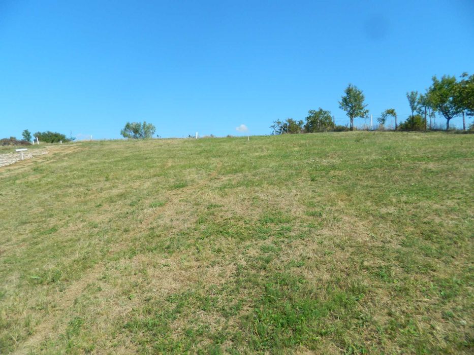 Teren Barnova, Cercu