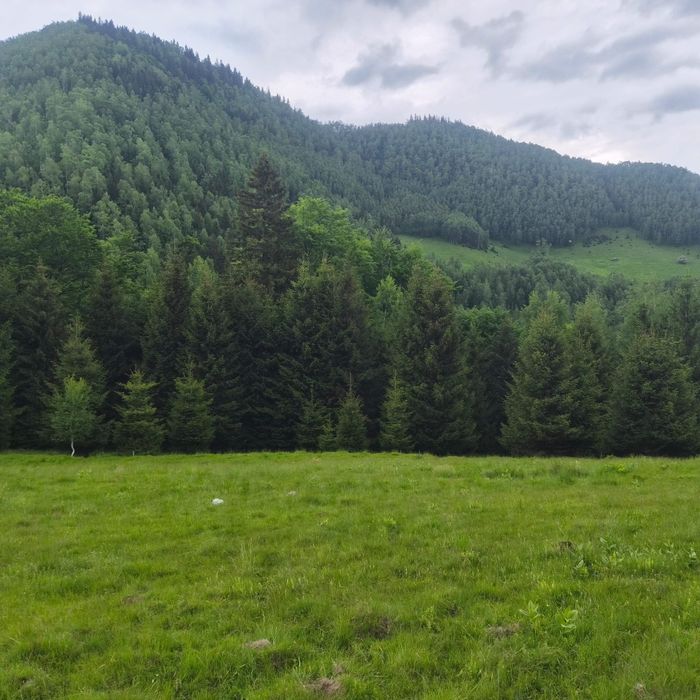 Teren de vanzare in Râusor