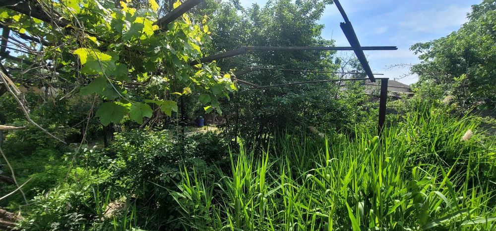 8 соток, квадрат, угловой, под слом, Тойтепа