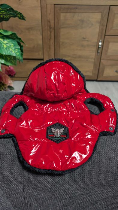 Кучешко яке - Gucci