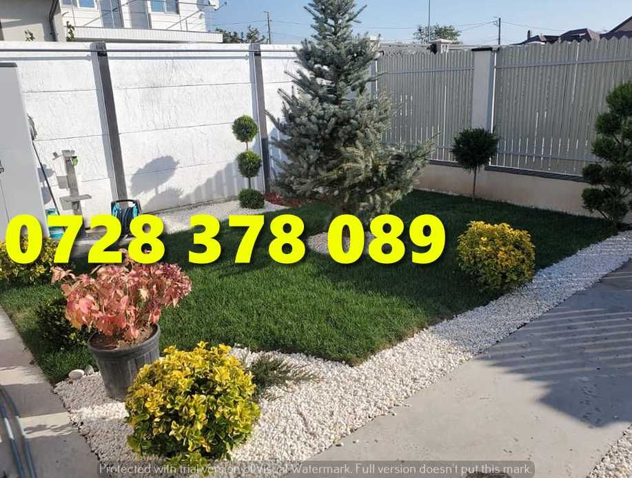Gazon Rulou Pentru Curtea ta
