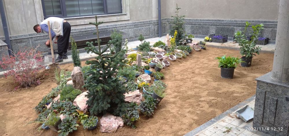 Gazon ekamiz yevro gazon