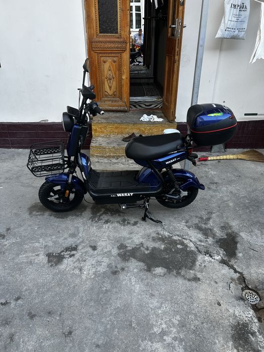 wasat elekrot mott