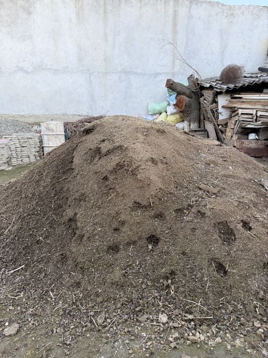 Poru qoyniki sotilai