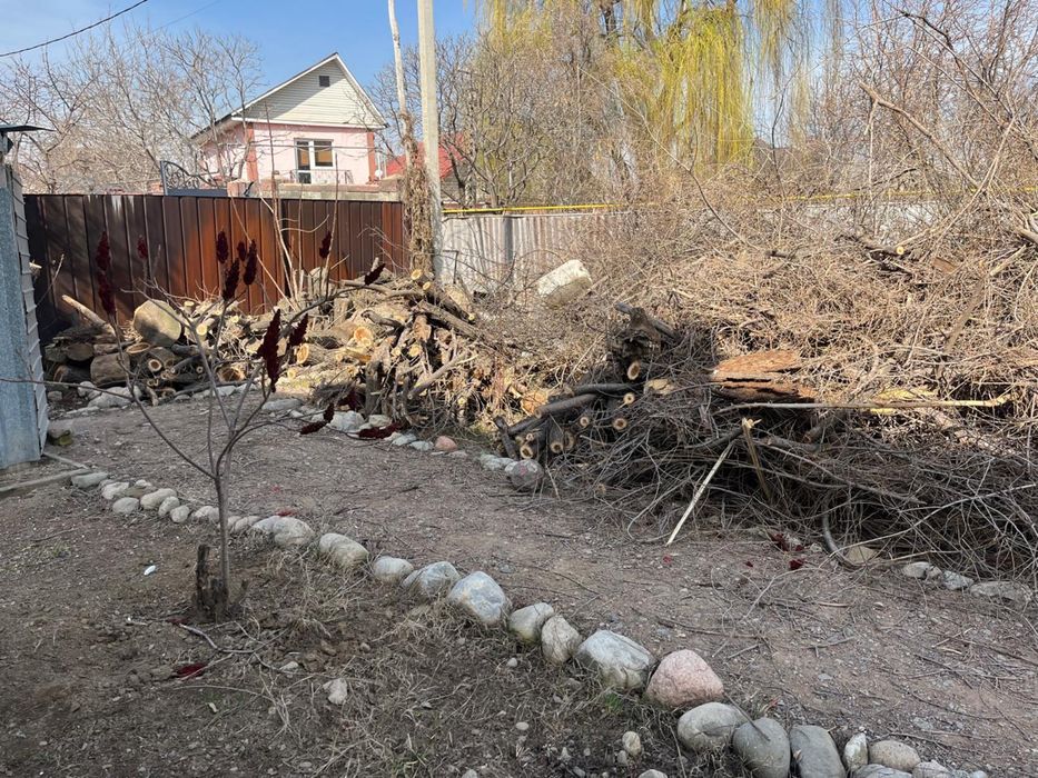 Продаем Дрова СРОЧНО