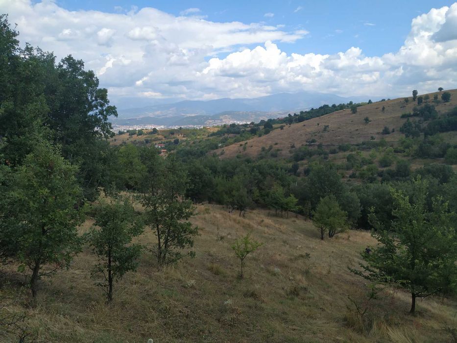 Продава се Земеделски имот в с. Покровник, Област Благоевград -  кв.м за 11050 €/дка - Снимка #1