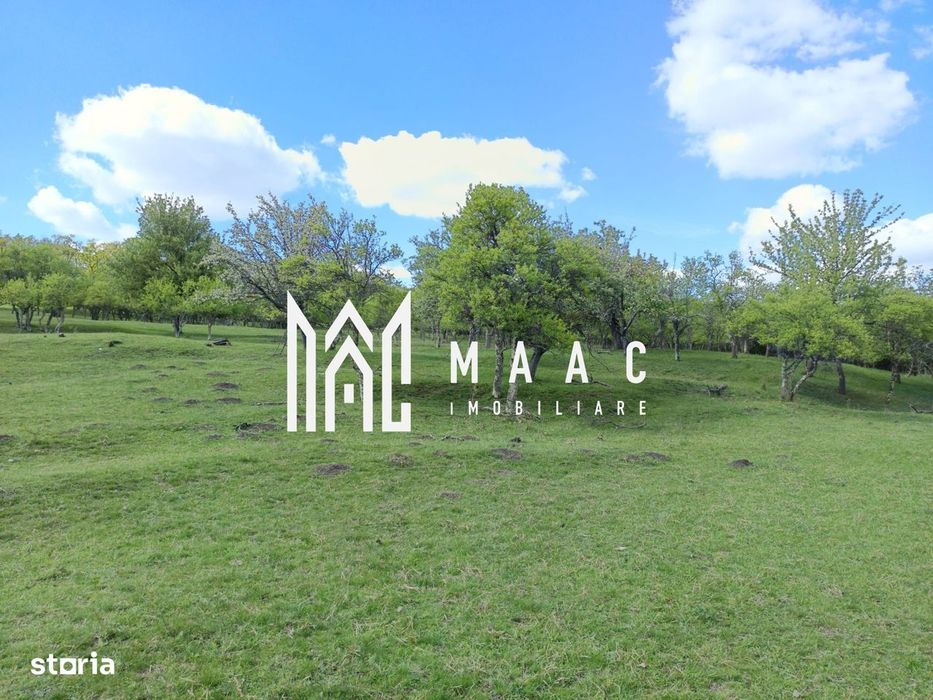 Teren Extravilan I Cisnadie I 3.506 MP