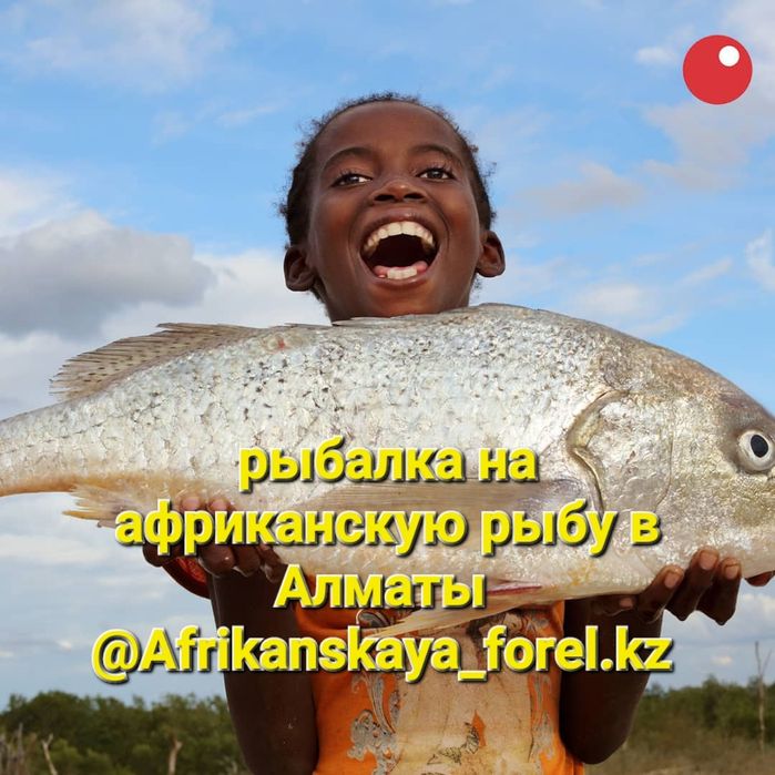 Рыбалка. Африканская форель: 3 500 тг. - Охота / рыбалка Алматы на Olx
