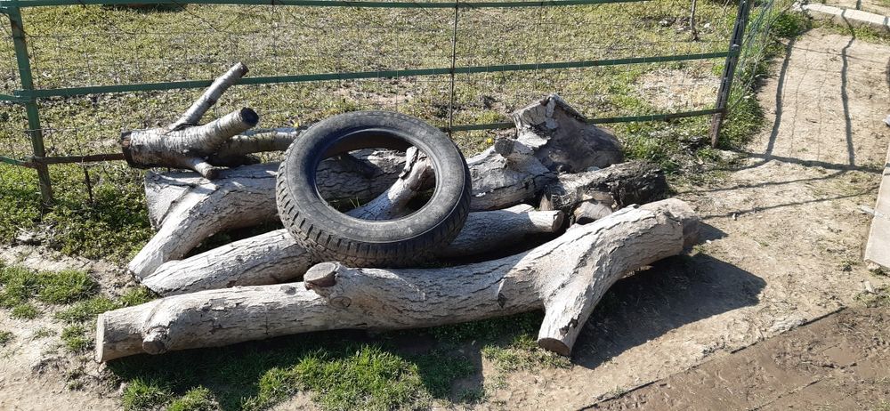 Подарявам дърва за огрев и стари инструменти