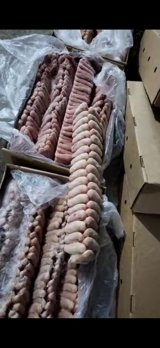 Корм для животных