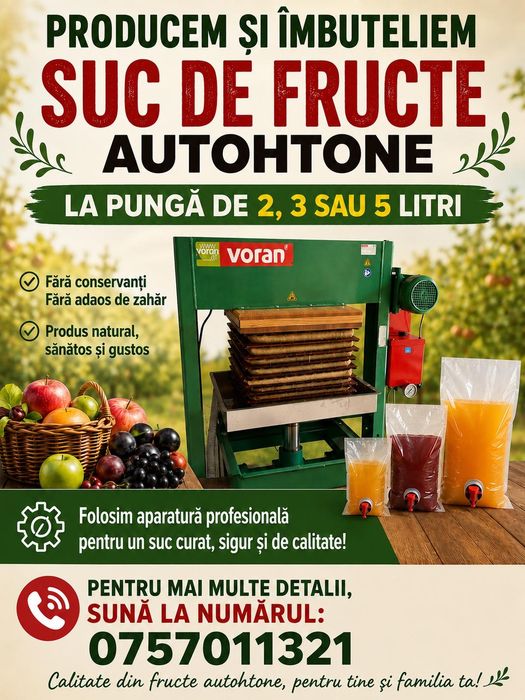 Procesam suc de fructe