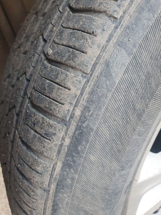 Cobalt 2022 egasidan